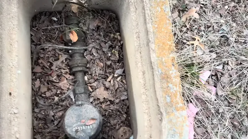 Water meter with a stamped serial number inside a concrete box, partly covered by dead leaves